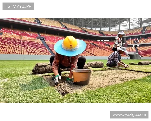 成都网球队在世界杯预选赛中的拼搏历程与荣耀追寻